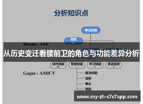 从历史变迁看腰前卫的角色与功能差异分析