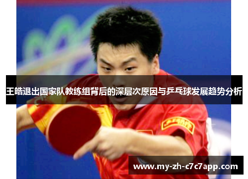 王皓退出国家队教练组背后的深层次原因与乒乓球发展趋势分析 王皓退出国家队教练组背后的深层次原因与乒乓球发展趋势分析