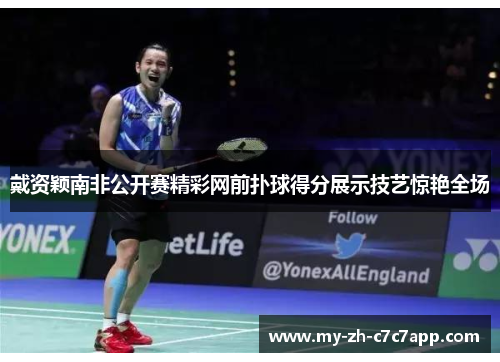 戴资颖南非公开赛精彩网前扑球得分展示技艺惊艳全场