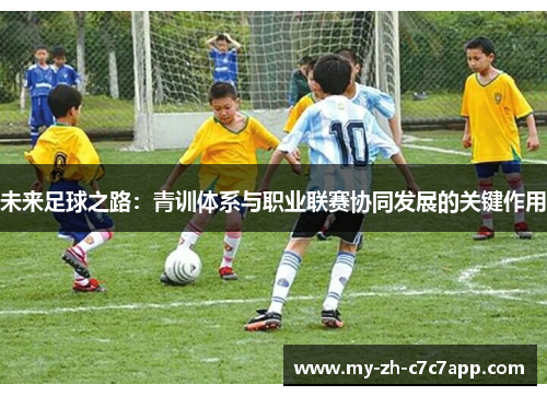 未来足球之路:青训体系与职业联赛协同发展的关键作用 未来足球之路:青训体系与职业联赛协同发展的关键作用
