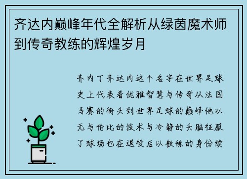 齐达内巅峰年代全解析从绿茵魔术师到传奇教练的辉煌岁月